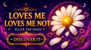 Daisy Petals