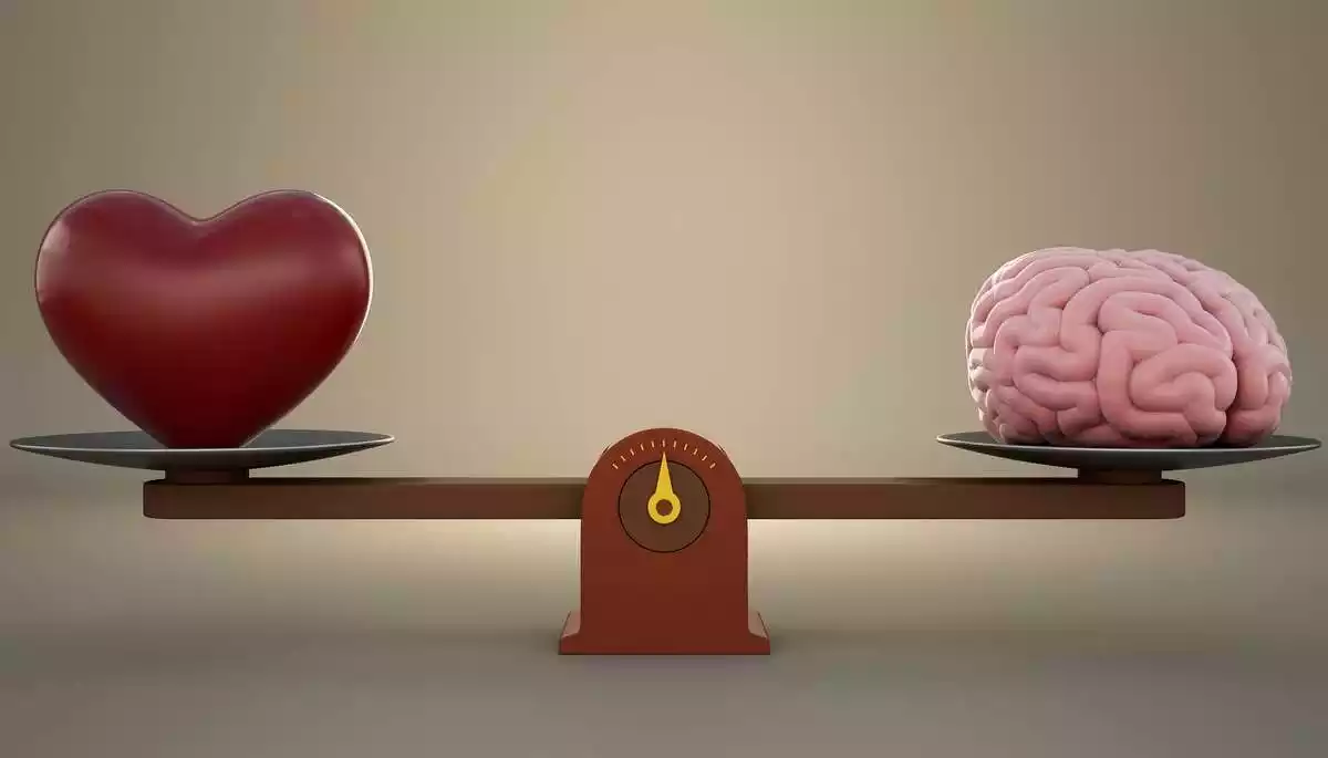 Heart and Brain in a balance