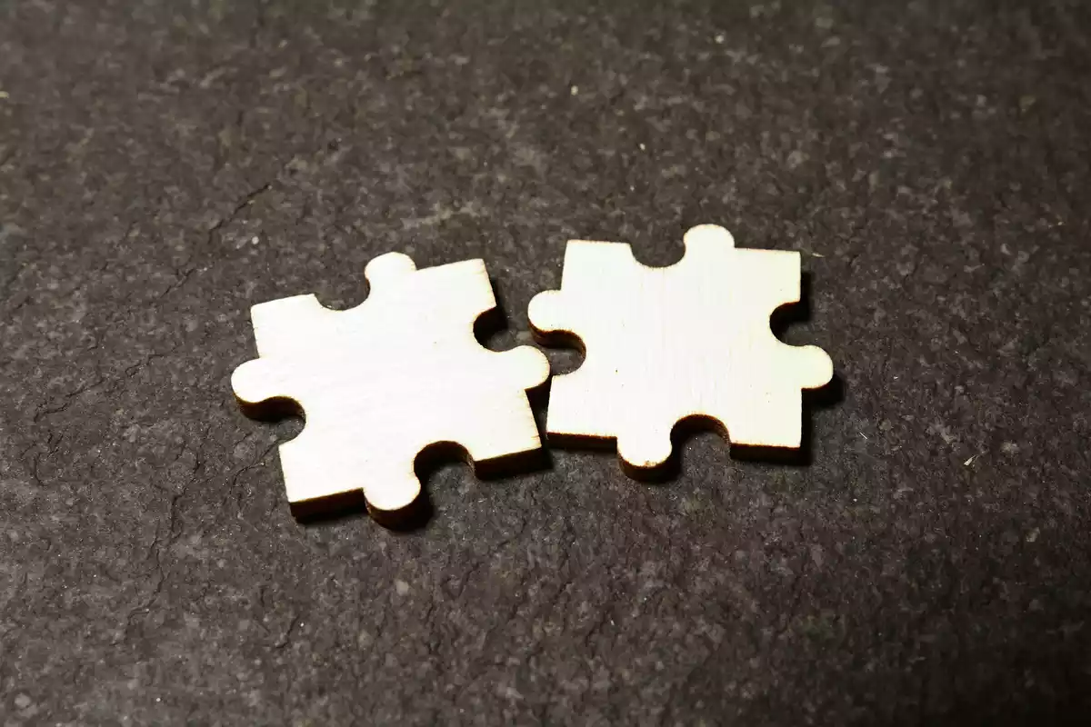 Two pieces of jigsaw puzzle that go together