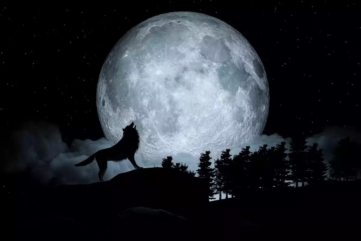 A big full moon and the shade of a wolf