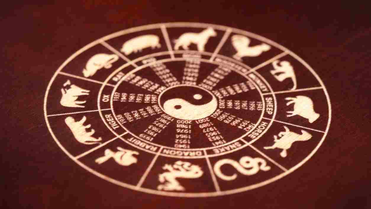 The chinese zodiac signs in a circle and the ying yang in the middle
