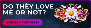 image bannerdaisy-petals